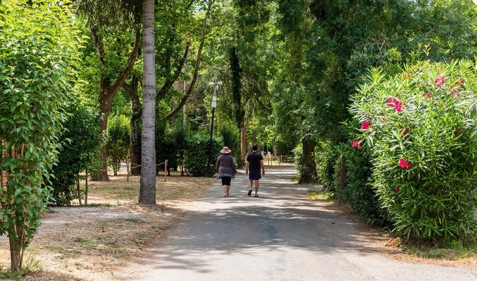 allées du camping