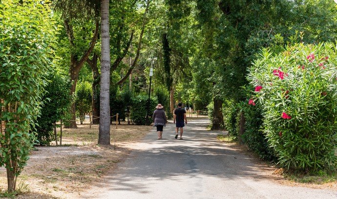 allées du camping